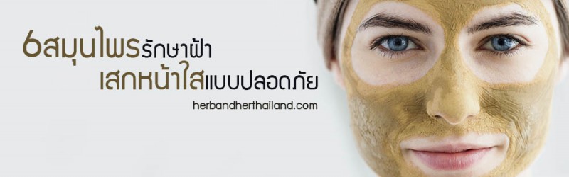 6 สมุนไพรรักษาฝ้า เสกหน้าใสแบบปลอดภัย